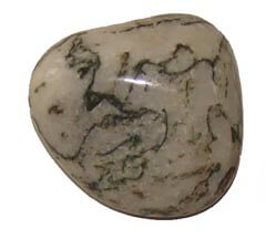 Tree Agate Stone